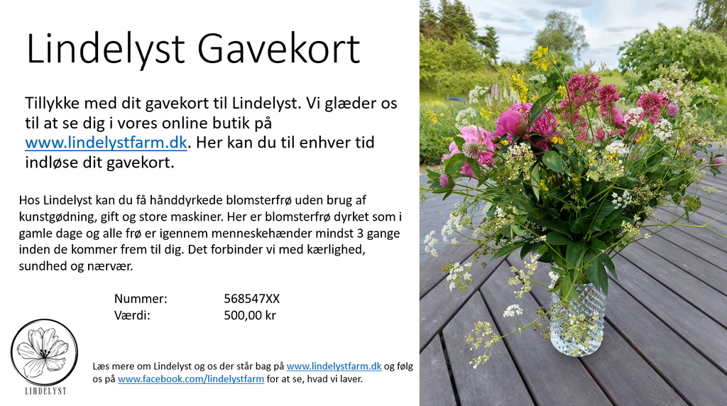 Gavekort til Lindelyst